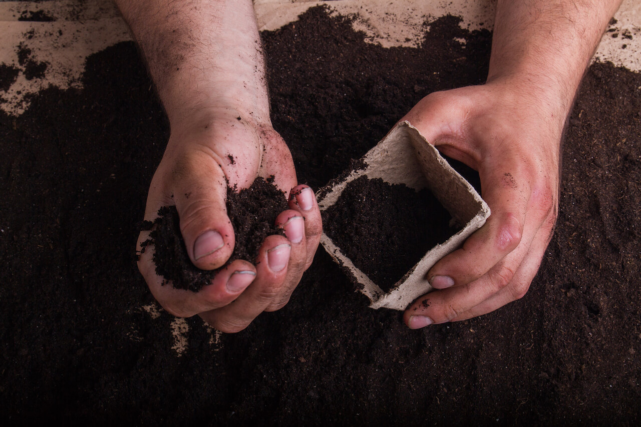 Compostable packaging can improve soil quality.